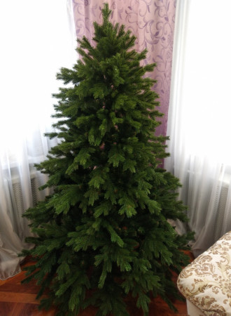 графская 180