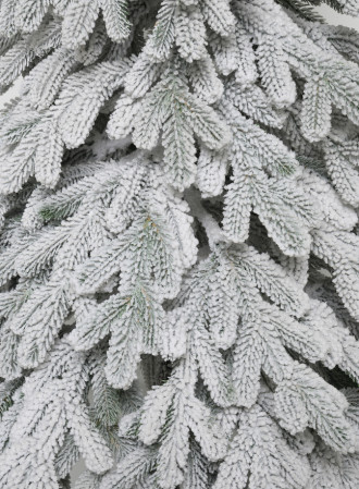 DSC_3666
