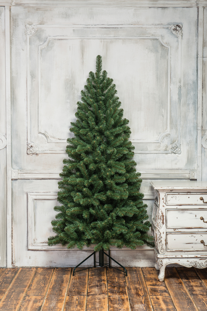 Эльза пристено-угловая