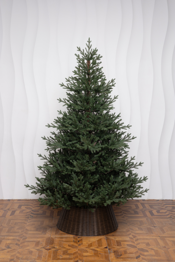 Царевна леса