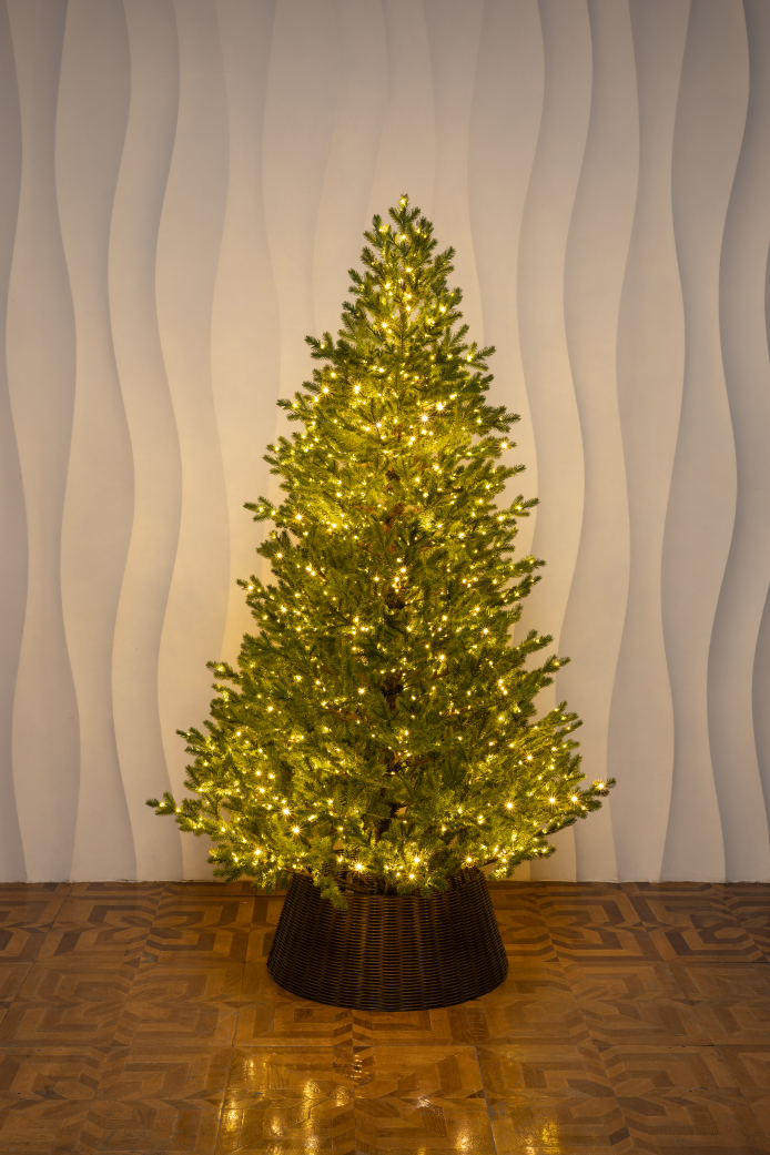 Измайловская