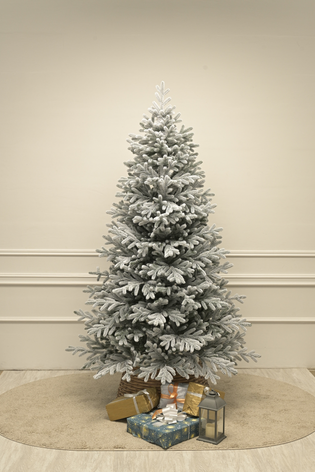 Уссурийская заснеженная