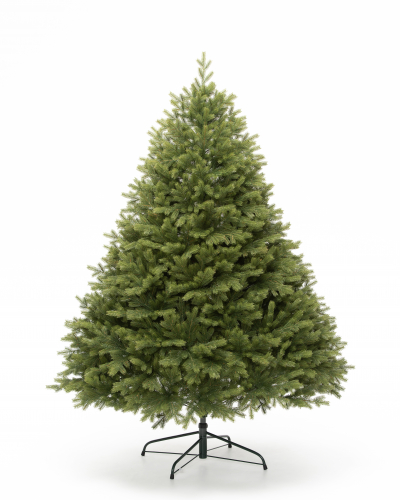 Фотография коллекции Эрмитажная