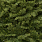 Детализация веток