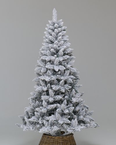 Фотография коллекции Славянская заснеженная