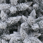 Детализация веток