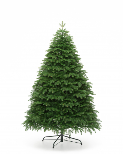 Фотография коллекции Дворянская