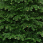 Детализация веток