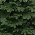 Детализация веток