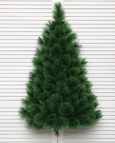 Фотография коллекции Купавна