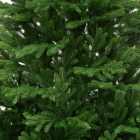 Детализация веток