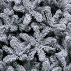 Детализация веток