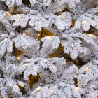 Детализация веток