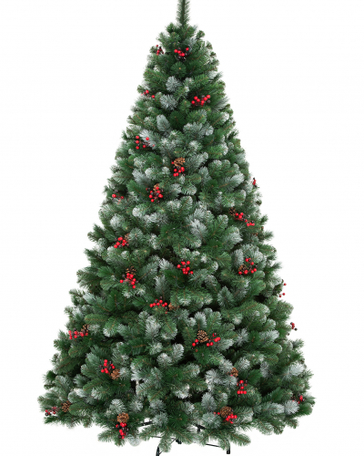 Фотография коллекции Очарование