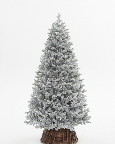 Фотография коллекции Алтайская заснеженная