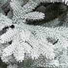 Детализация веток