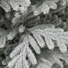 Детализация веток