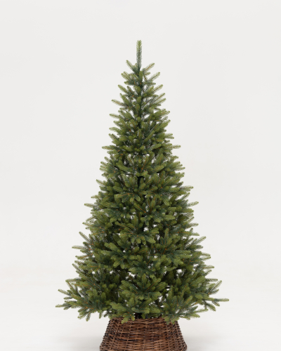 Фотография коллекции Приморская