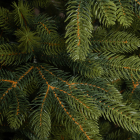 Детализация веток