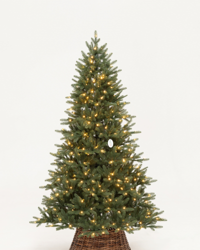 Фотография коллекции Никольская