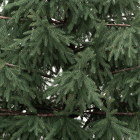 Детализация веток