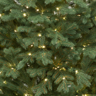 Детализация веток