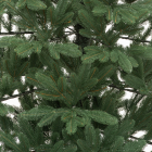 Детализация веток