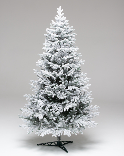 Фотография коллекции Уссурийская заснеженная