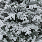 Детализация веток