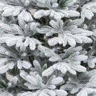 Детализация веток