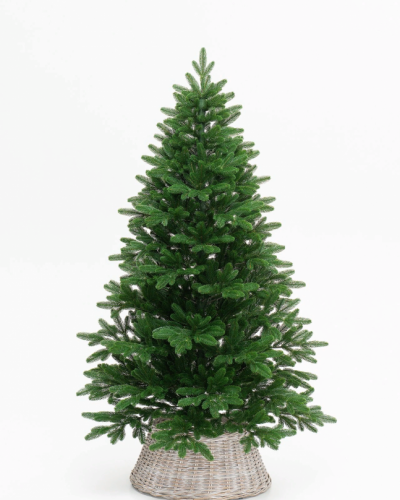 Фотография коллекции Никитская