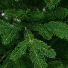 Детализация веток