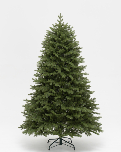 Фотография коллекции Михайловская