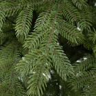 Детализация веток