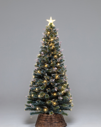 Фотография коллекции Альпийская