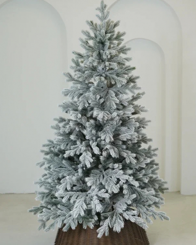 Фотография коллекции Хвалынская