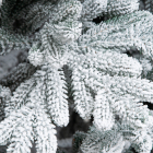 Детализация веток