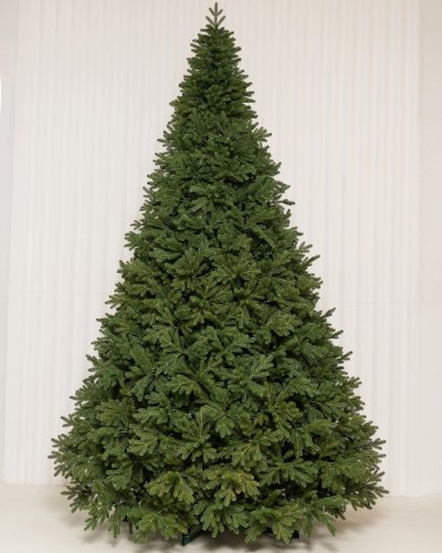 Фотография коллекции Городская