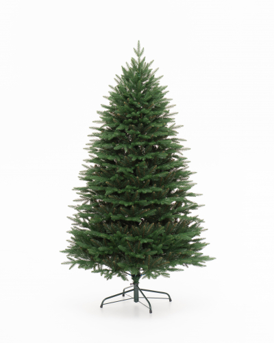 Фотография коллекции Смоленская