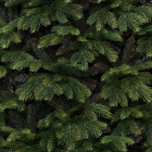 Детализация веток