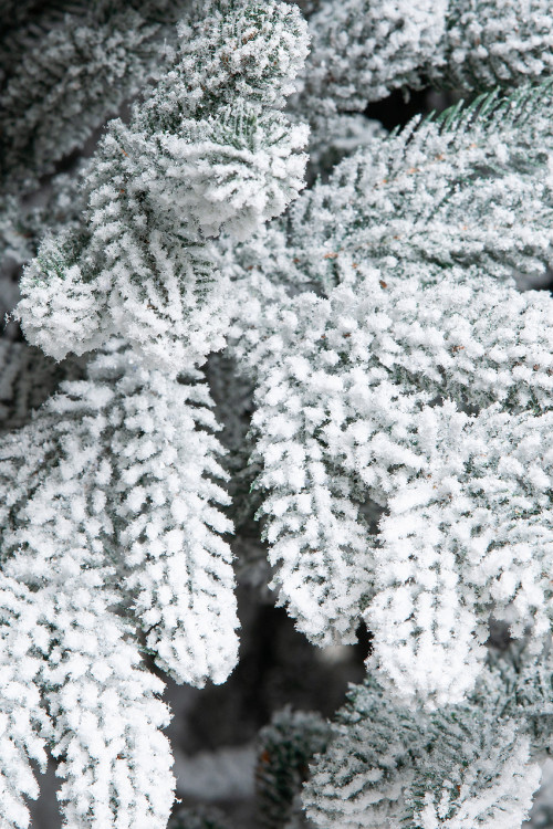 Искусственная елка Швейцарская заснеженная 210 см., 100% литая хвоя, ЕлкиТорг (110210)