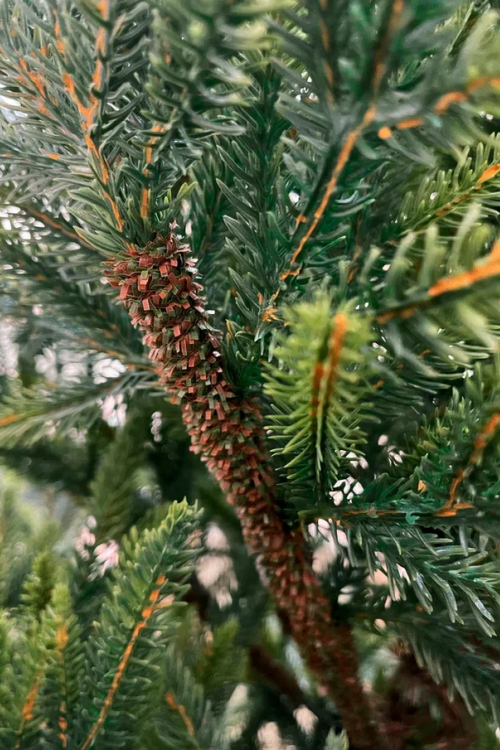 Искусственная ель Королевская стройная зеленая 215 см., 100% литая хвоя, TDL (70028)