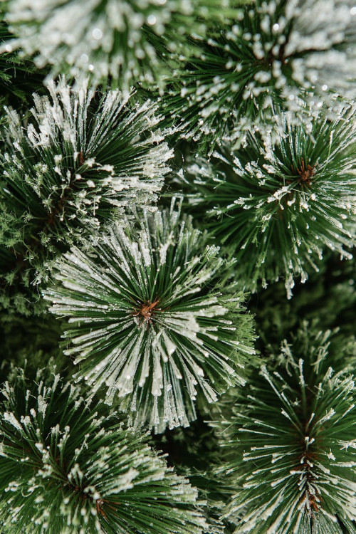 Искусственная сосна Скарлетт с инеем 120 см., Леска,  ЕлкиТорг (96120)