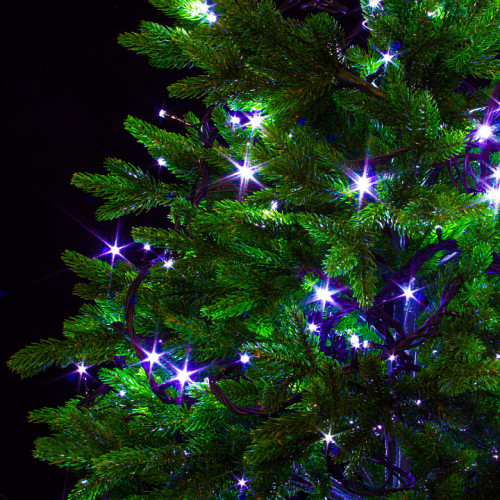 Светодиодная нить 42 м., 220V, 600 холодных белых LED ламп, контроллер, черный провод, Winner Light (w.01.5B.600-)