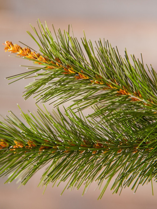 Елка Сказочная в мешочке 90 см., леска, Triumph Tree (73538)