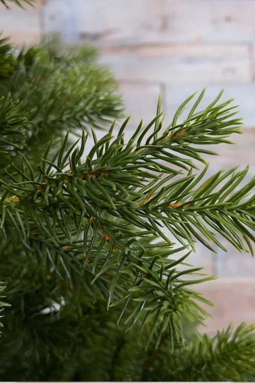 Можжевельник 215 см., зеленый, литая хвоя, Triumph Tree (72131)