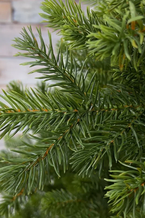 Можжевельник 215 см., зеленый, литая хвоя, Triumph Tree (72131)