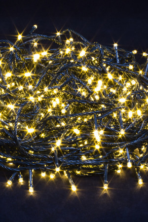 Светодиодная нить 42 м., 220V, 600 теплых белых LED ламп, контроллер, черный провод, Winner Light (ww.01.5B.600-)