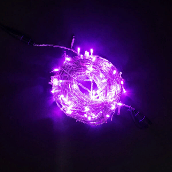 Светодиодная гирлянда с возможностью динамики 20 м., 200 пурпурных LED ламп, 24V., прозрачный силиконовый провод, IP65, Beauty Led (EST200-3W10-1PU) 