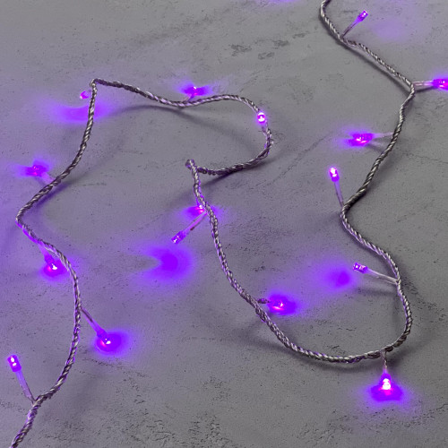 Светодиодная гирлянда с возможностью динамики 20 м., 200 пурпурных LED ламп, 24V., прозрачный силиконовый провод, IP65, Beauty Led (EST200-3W10-1PU)